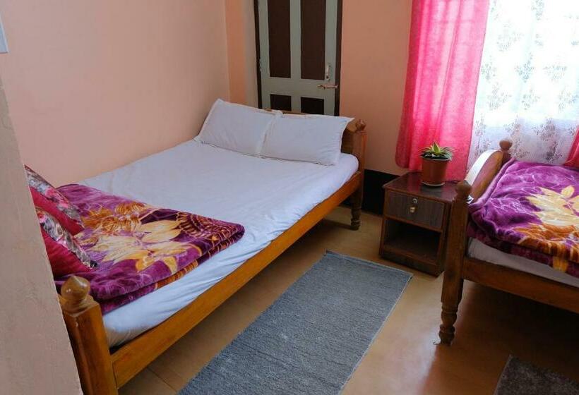 Bed and Breakfast Down Town Homestay