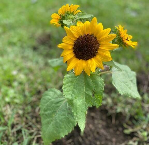 민박 Jardín Del Edén