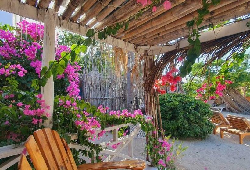 Bluemare Ecohotel Frente A La Playa Ensendada