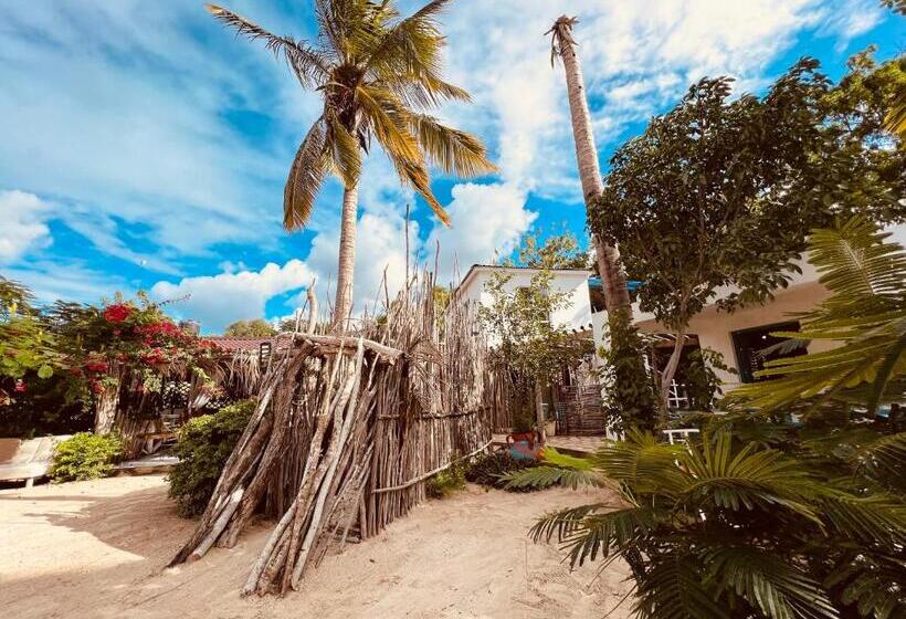 Bluemare Ecohotel Frente A La Playa Ensendada