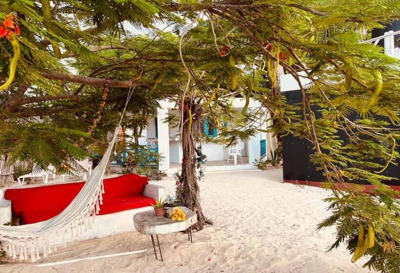 Bluemare Ecohotel Frente A La Playa Ensendada