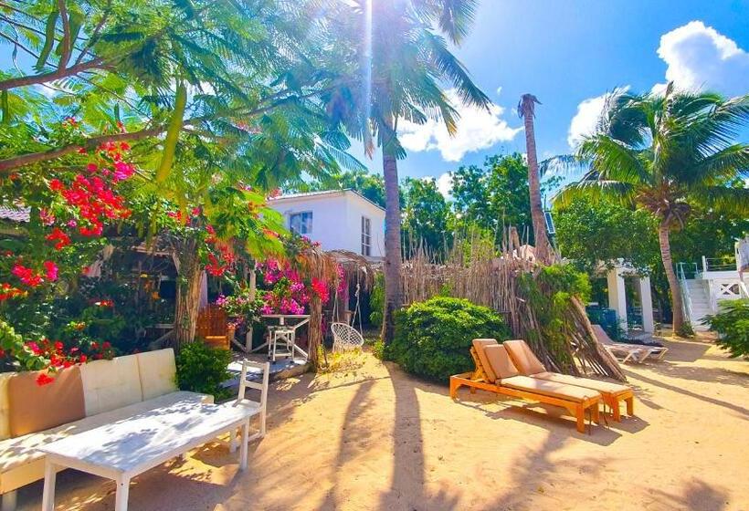 Bluemare Ecohotel Frente A La Playa Ensendada