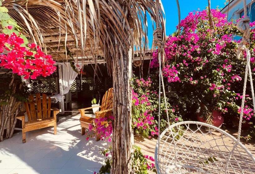 Bluemare Ecohotel Frente A La Playa Ensendada