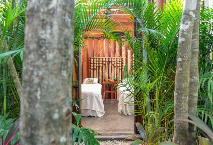 Отель Atman Residences Tulum