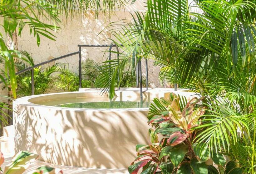 Отель Atman Residences Tulum