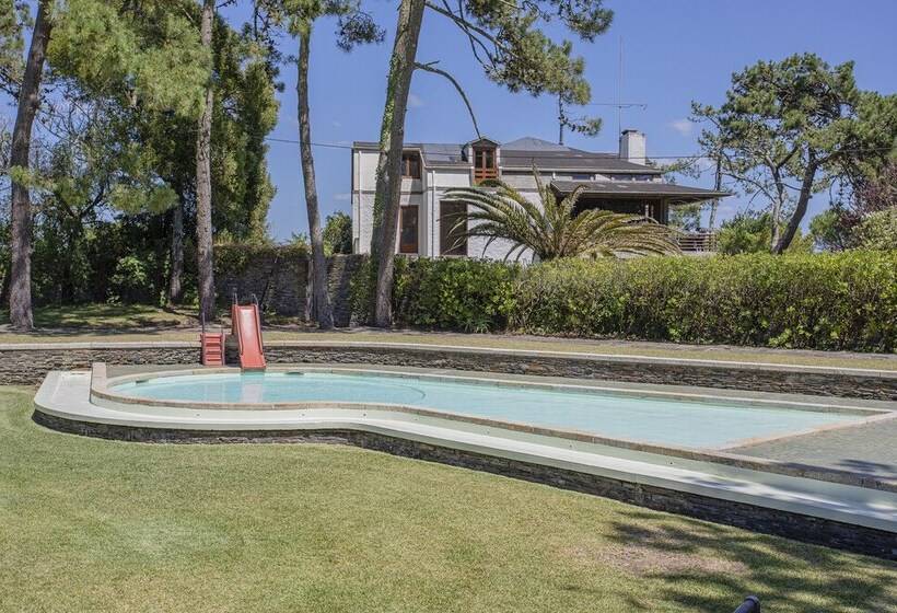 Liiiving In Ofir   Seaside Pool Bungalow