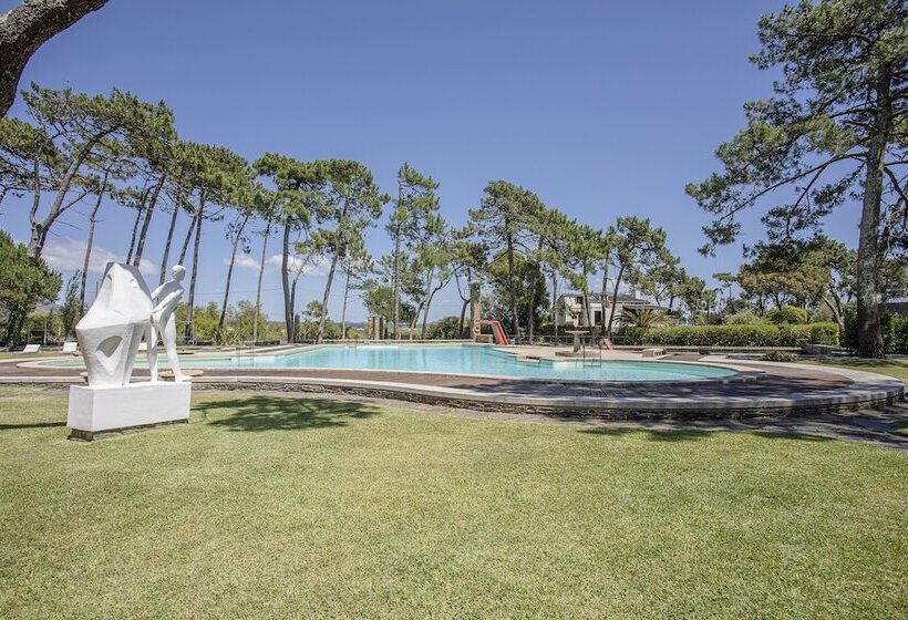 Liiiving In Ofir   Seaside Pool Bungalow