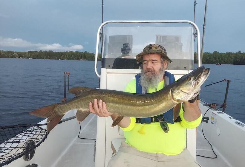 Мотель Boulder Bear Motor Lodge