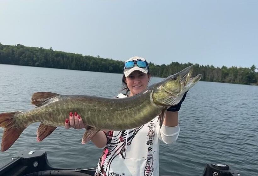 Мотель Boulder Bear Motor Lodge