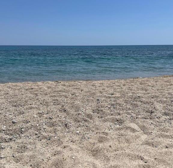 ペンション Amoenus Bed & Breakfast