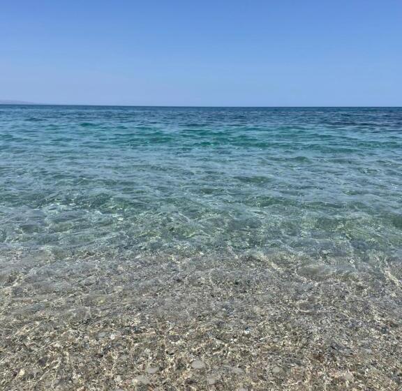 ペンション Amoenus Bed & Breakfast