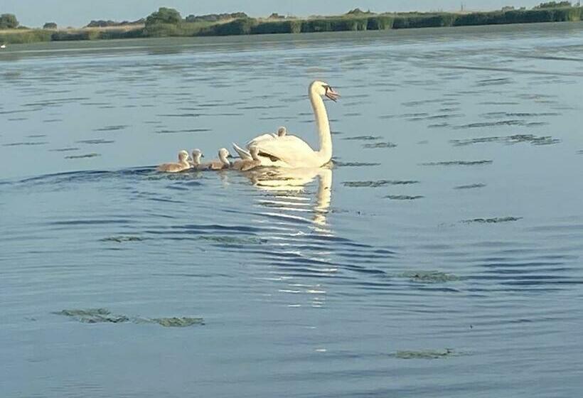 펜션 Casa Munteanu