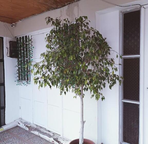 פנסיון Hostal Sol Atacama  Caldera