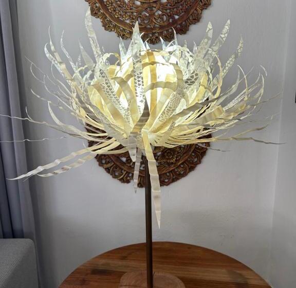 פנסיון Tree Aloe Guest House