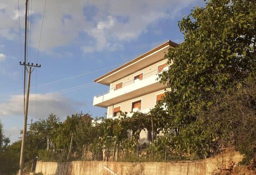 פנסיון Villa Balliu