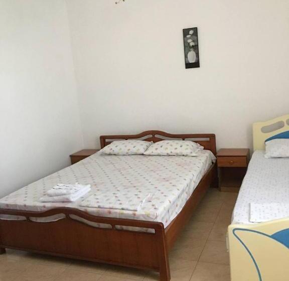 פנסיון Villa Balliu