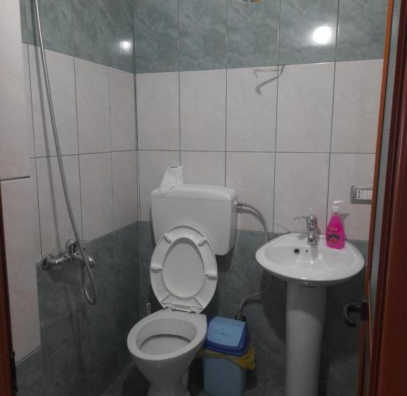 פנסיון Villa Balliu