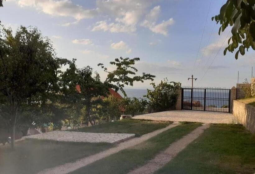 פנסיון Villa Balliu