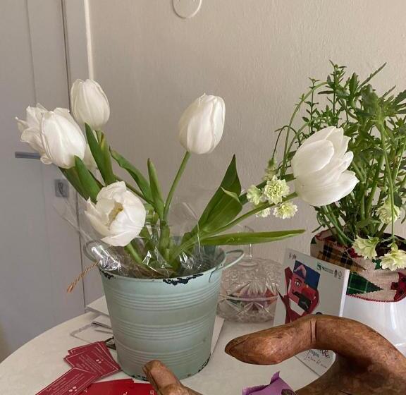 تختخواب و صبحانه Casa Bileza