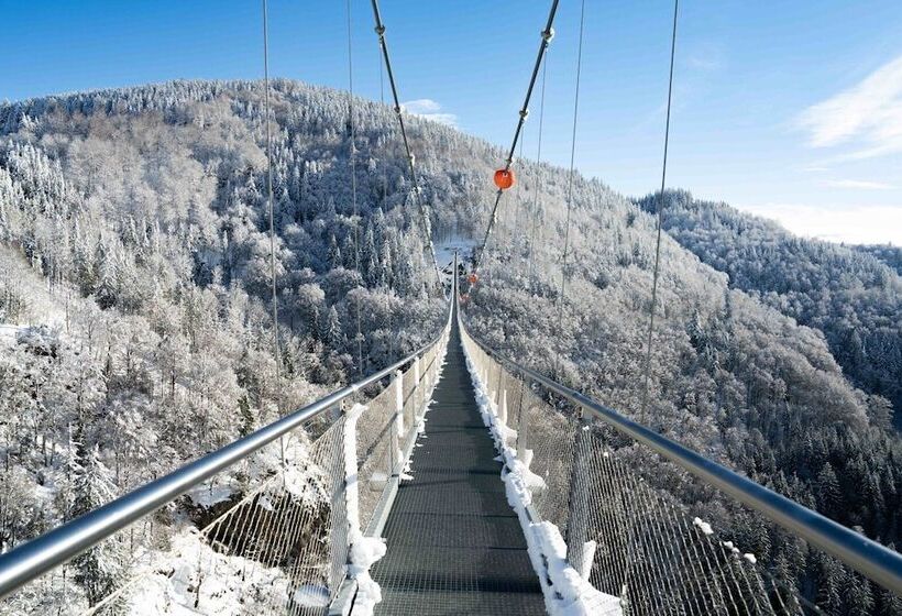 Black Forest Hotel Todtnau