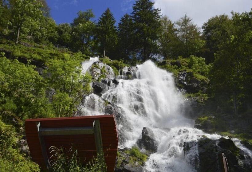 Black Forest Hotel Todtnau