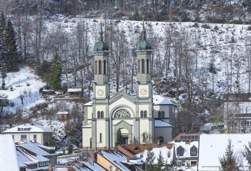 Black Forest Hotel Todtnau