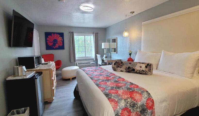 فندق Dragonfly Inn & Suites