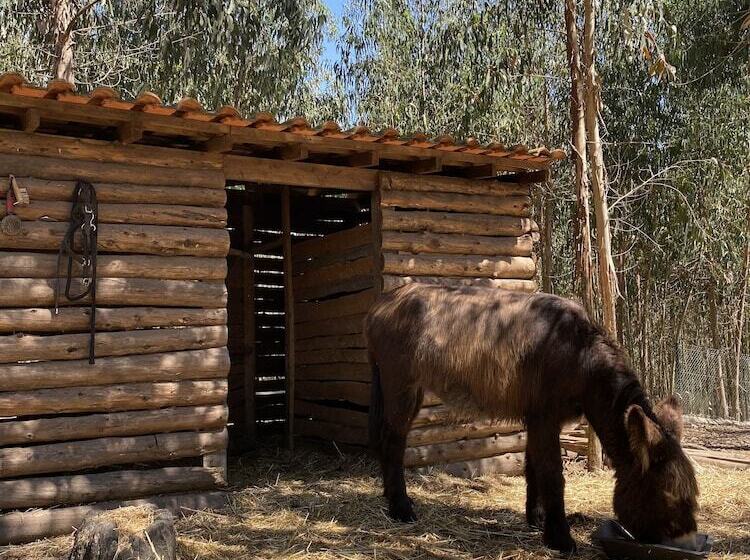 호텔 Quintinha Silvestre