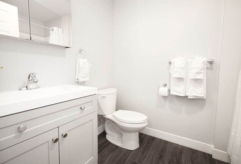 Modern 3br Unit On Jessie Ave With Insuite Laundry