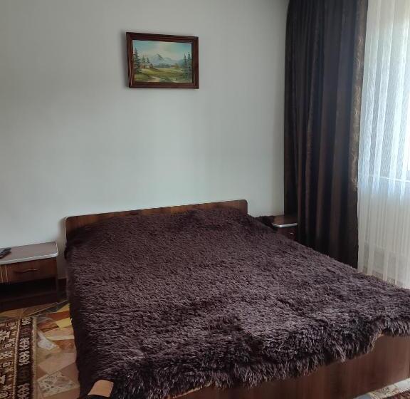 Пансион Casa Irilen