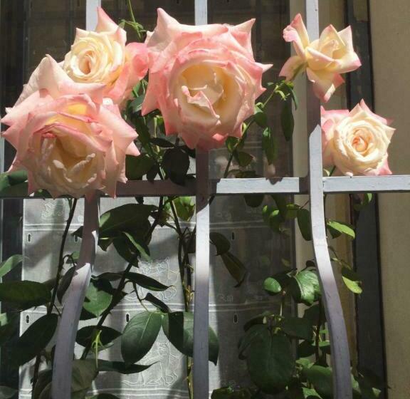 Пансион Jolie Chambre Avec Petit Jardin Vue Magnifique Pernes Les Fontaines