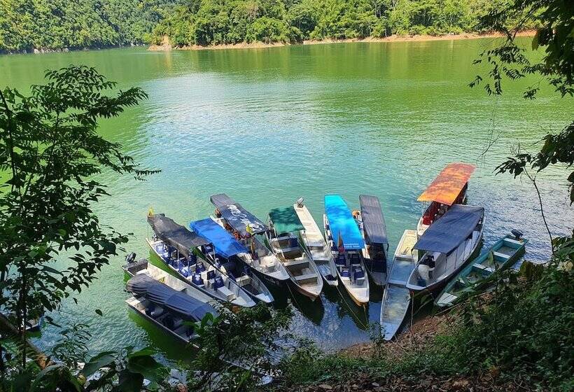 הוסטל Mirador Amani