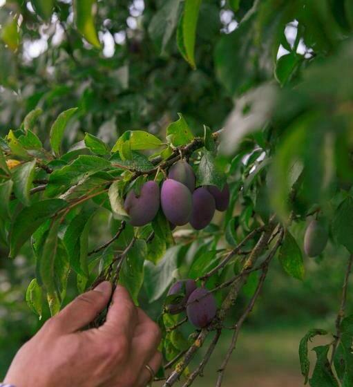 ベッドアンドブレックファースト De Heerlijkheid Loenen Bed En Breakfast