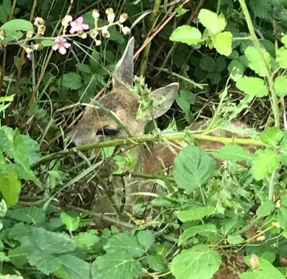 住宿加早餐  Ecolieu Le Chant Du Temps