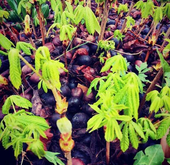 住宿加早餐  Ecolieu Le Chant Du Temps