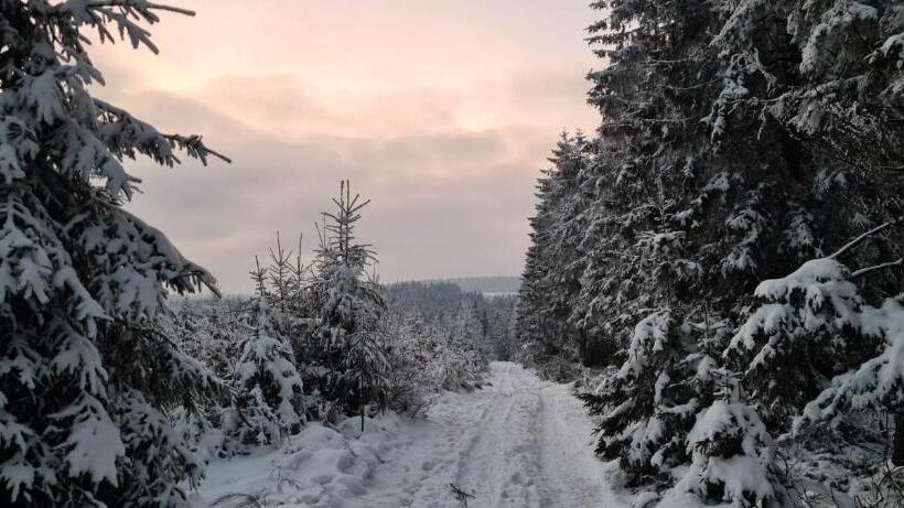 ベッドアンドブレックファースト Ferme La Joye