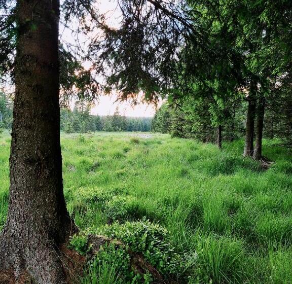 ベッドアンドブレックファースト Ferme La Joye