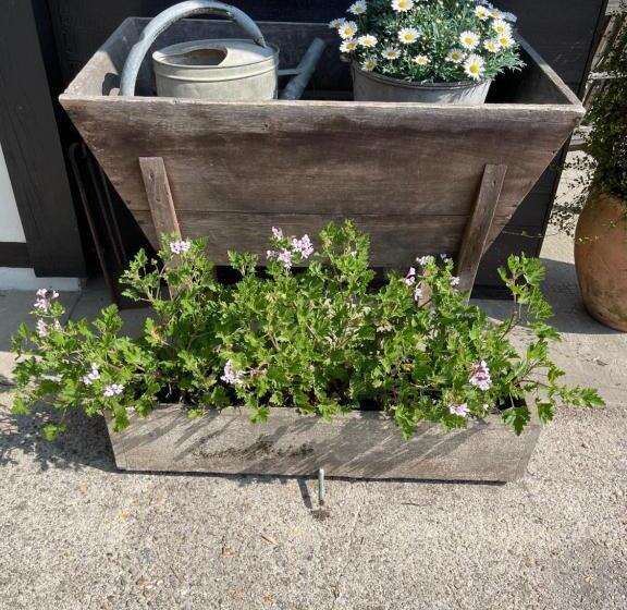 مبيت وإفطار Ostal 158