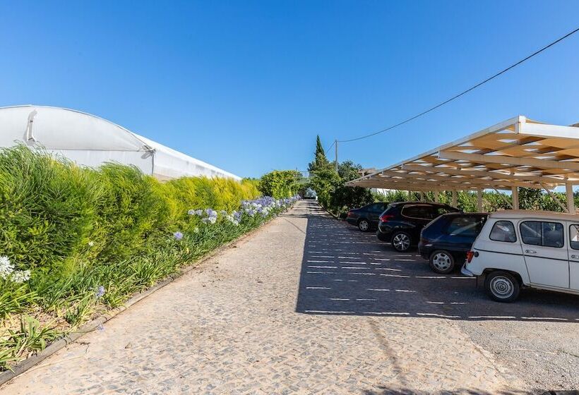 住宿加早餐  Quinta Da Capelinha Agroturismo