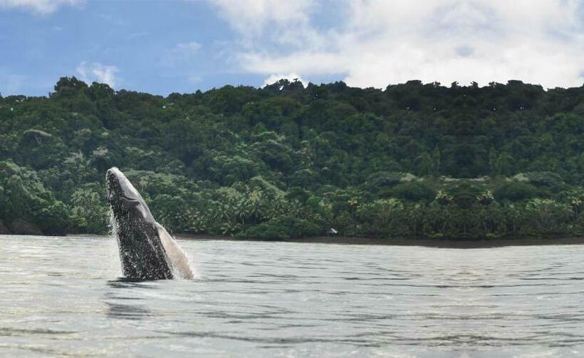 ベッドアンドブレックファースト Vive Nuqui