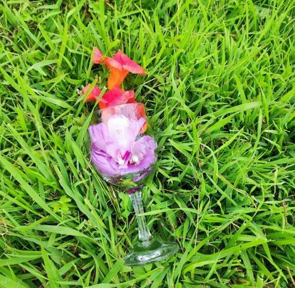 هتل отель адунеи сухум