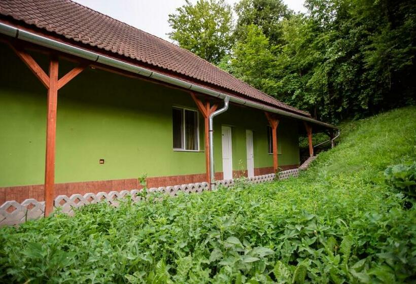 ホテル Marion Poiana