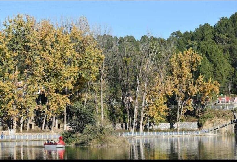 호텔 Oyo 89839  Mohani Inn And Banquet