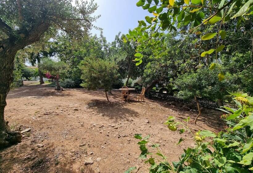 Inviting 2bedroom Apartment In The City Of Tavira