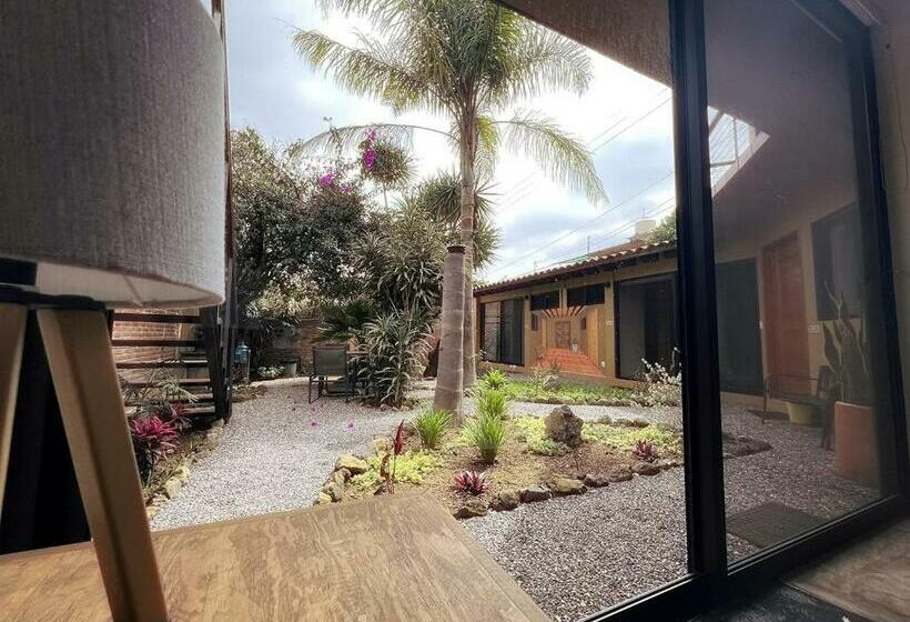 ペンション Nuevo Y Acogedor Departamento, Recámara, Baño, Sala Comedor, Cocina Equipada