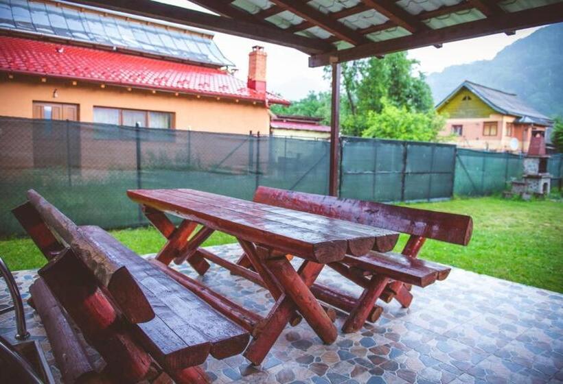 Пансион Popasul Drumețului Transfăgărășan