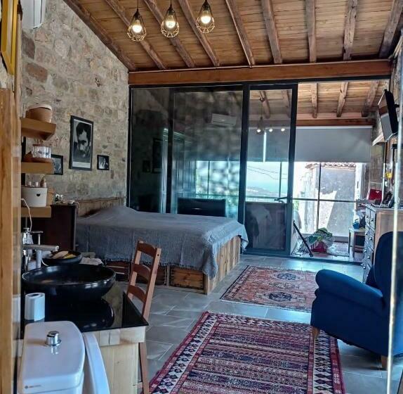 פנסיון Serpil House