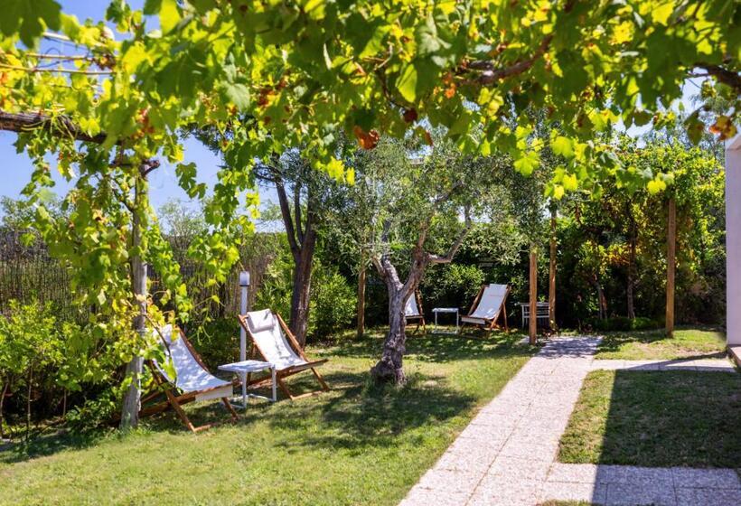 Aria Di Mare Vieste Luxury Apartments By The Sea