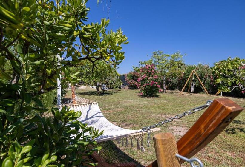 Aria Di Mare Vieste Luxury Apartments By The Sea