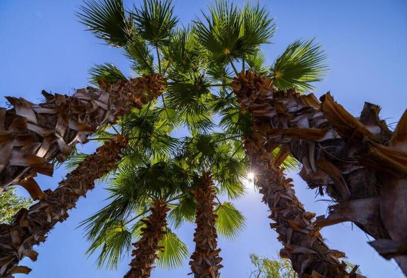 Aria Di Mare Vieste Luxury Apartments By The Sea